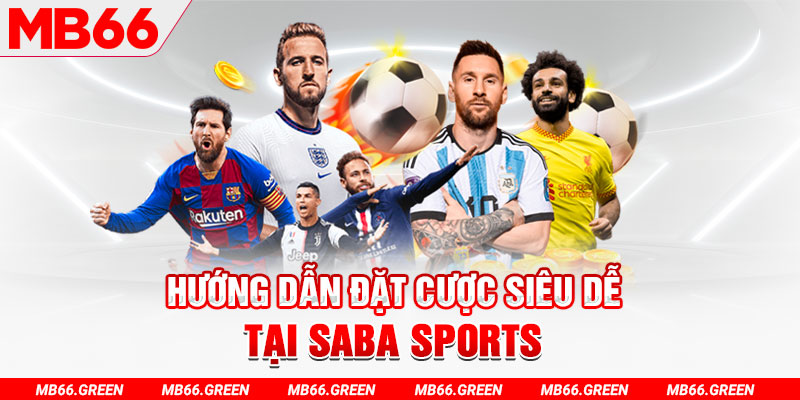 win rar trực tiếp gà chọi c1