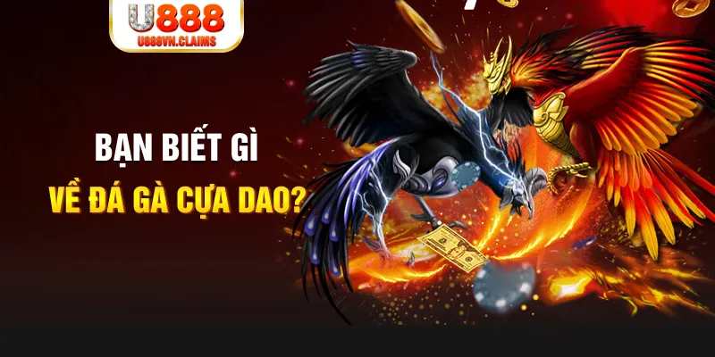 win rar SW Xổ Số
