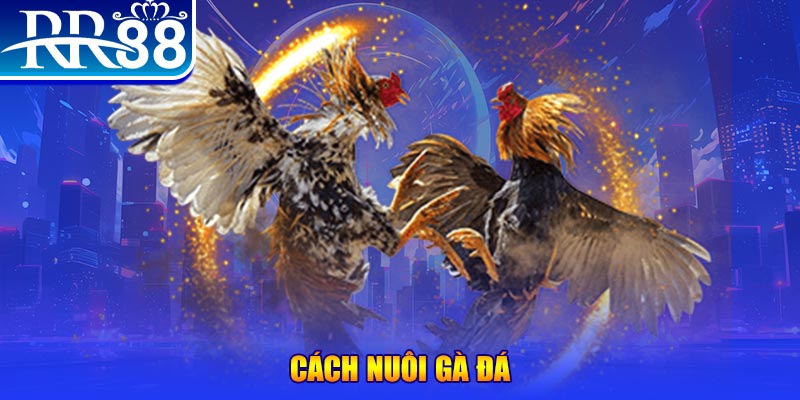 win rar đăng nhập phỏm đổi thưởng