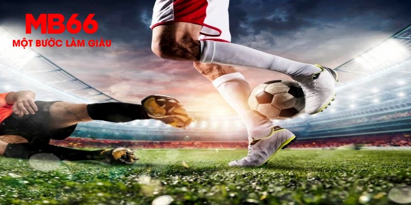win rar trực tiếp đá gà thomo