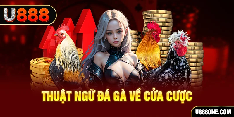 win rar hơn cả bạn bè