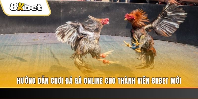 win rar JILI Game Bài 3d