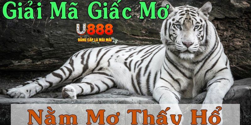 win rar xổ số miền bắc xổ số miền bắc