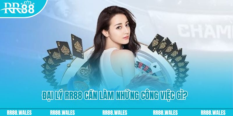 win rar xổ số kiến thiết miền bắc hôm nay