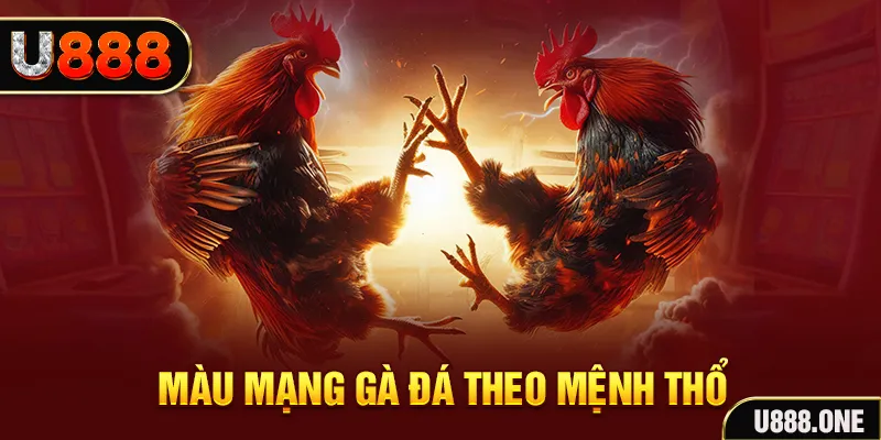 win rar đăng nhập sòng bạc hàng đầu