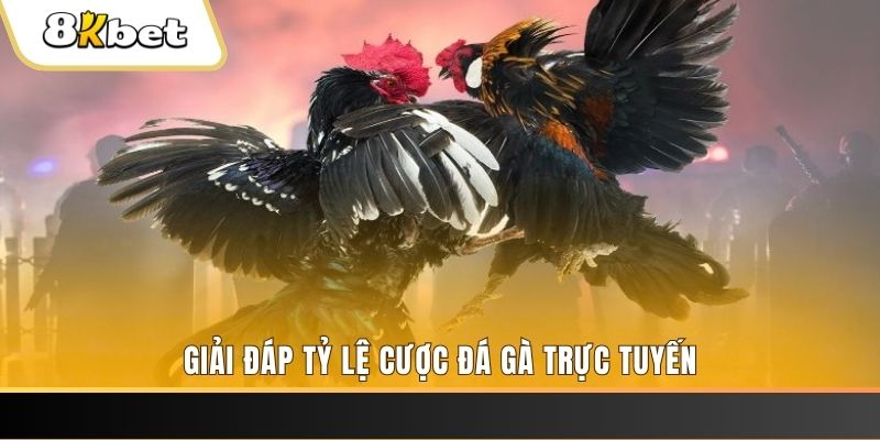 win rar ga choi cau thanh