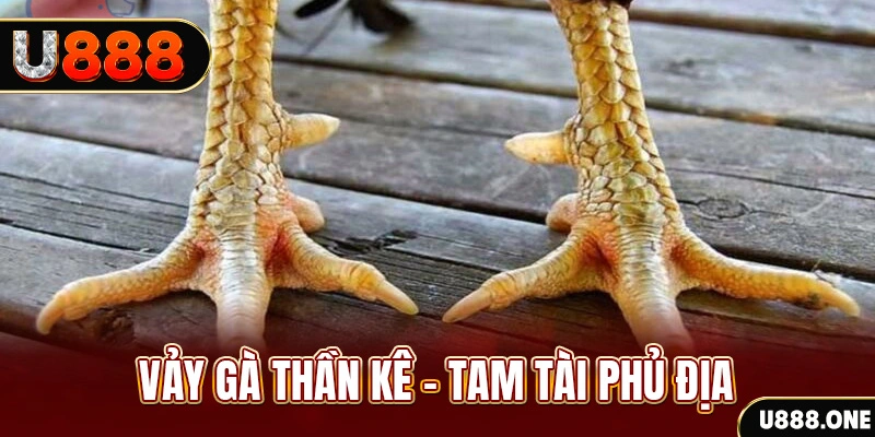 win rar xổ số miền trung thứ hai hàng tuần