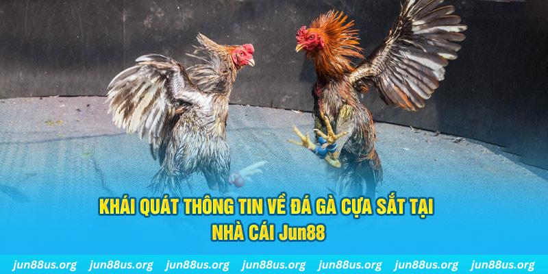 win rar xổ số miền bắc thứ bảy hàng tuần