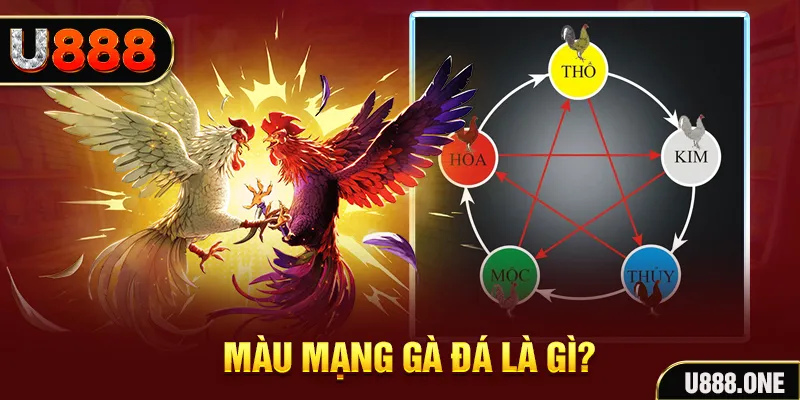 win rar xổ số miền trung thứ tư hàng tuần