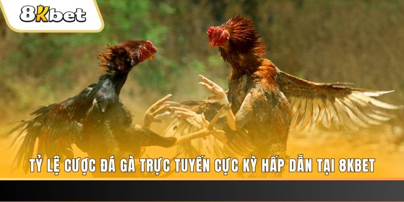 win rar đăng nhập mậu binh online