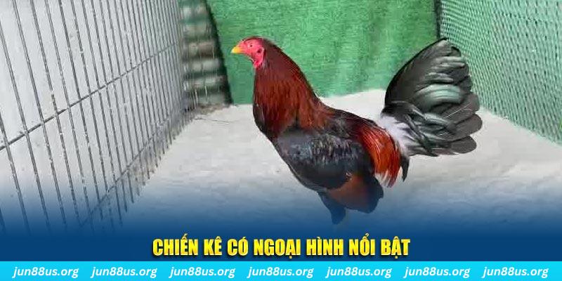 win rar game bắn cá