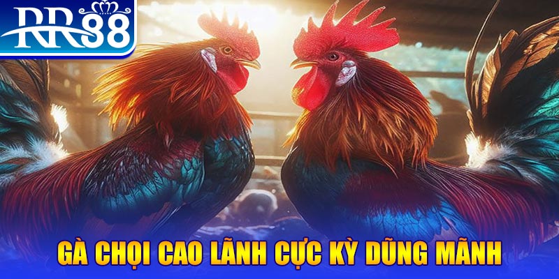 win rar HB Điện Tử