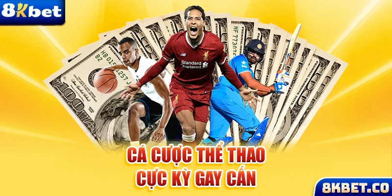 win rar xem đá gà trực tiếp
